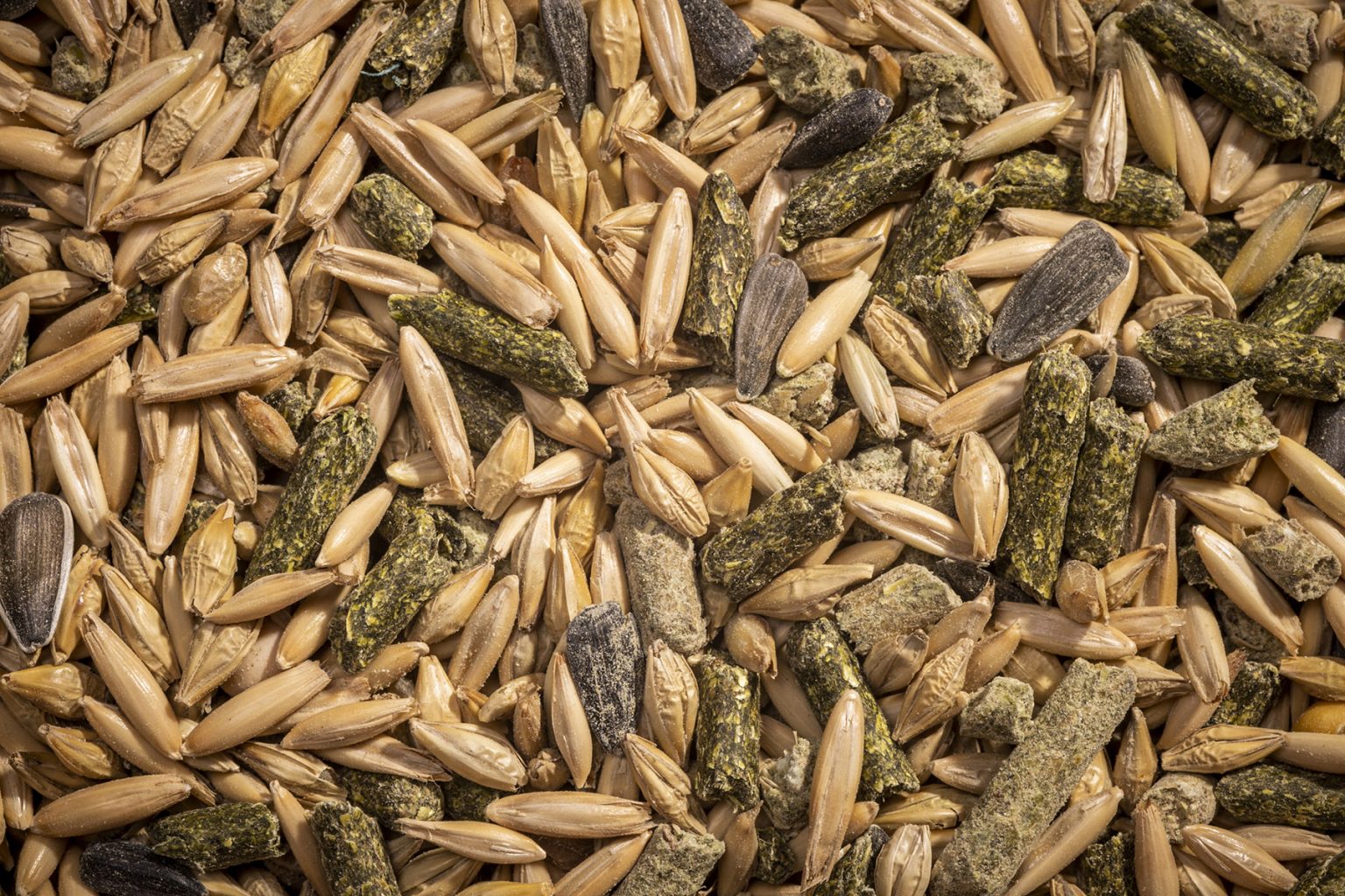 Horse PLUS Modesto Milling Organic Feeds and Supplements