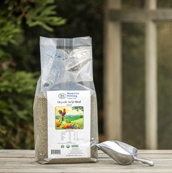 Benefits of Kelp Meal – Modesto Milling Organic Feeds and Supplements