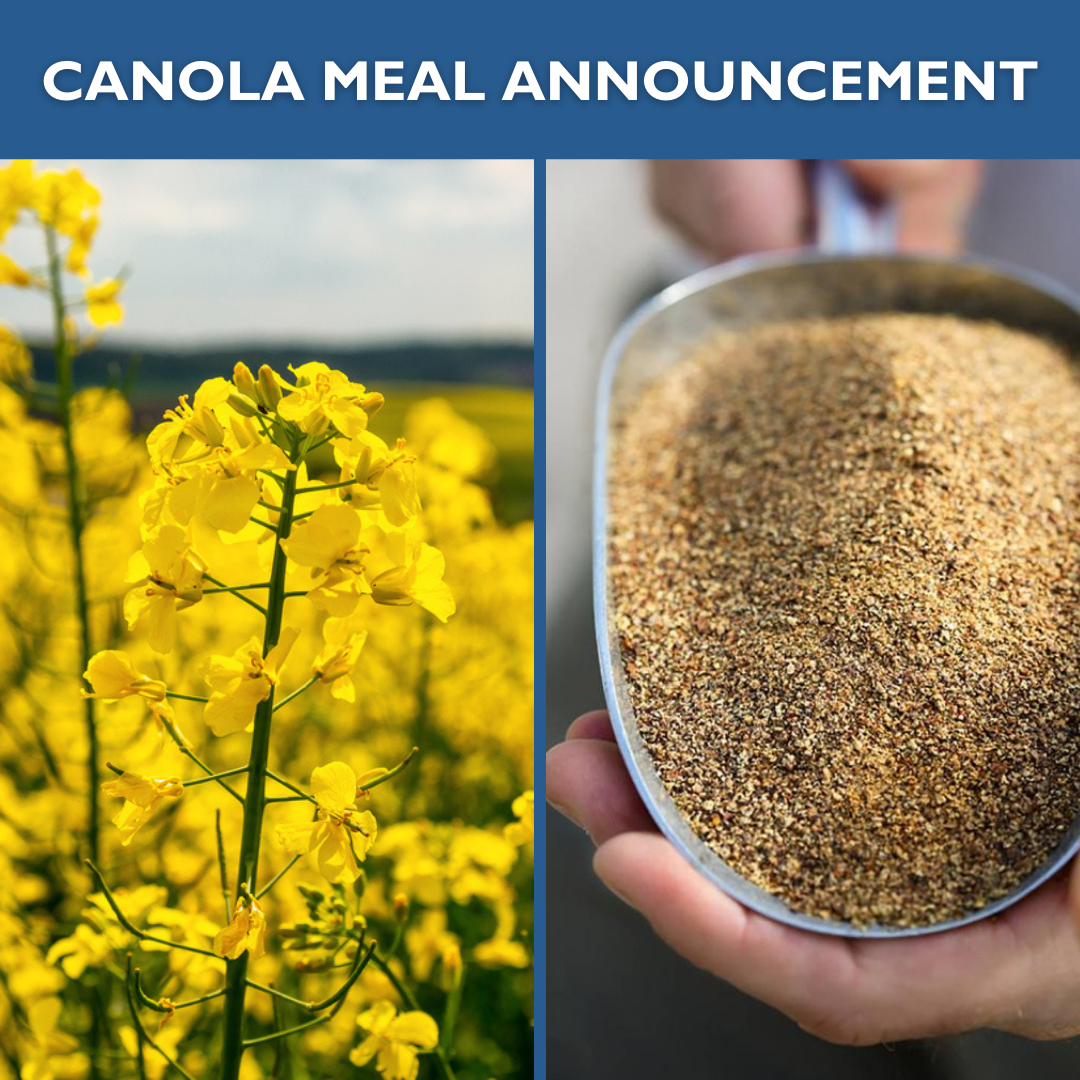 organic-canola-meal-for-livestock-and-poultry-modesto-milling-organic